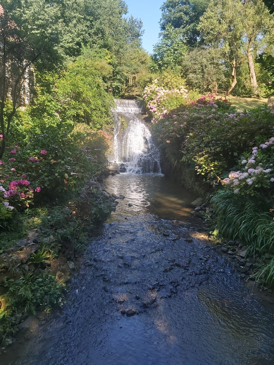 Vallée du Denacre — cascade et hortensias
